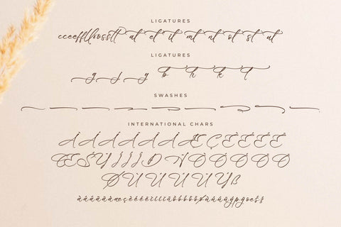 Blissfuly Magnotia - Modern Elegant Script Font Letterena Studios 