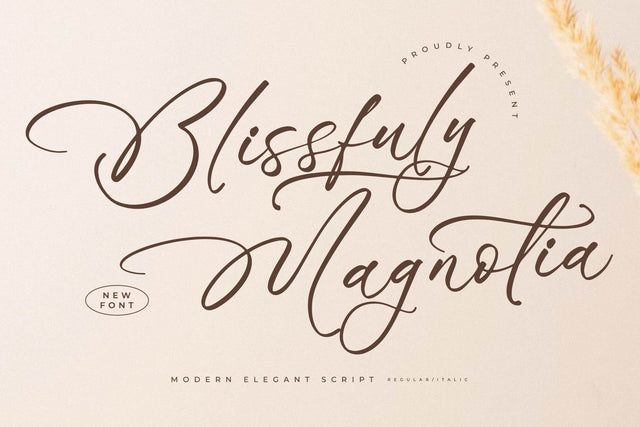 Blissfuly Magnotia - Modern Elegant Script Font Letterena Studios 