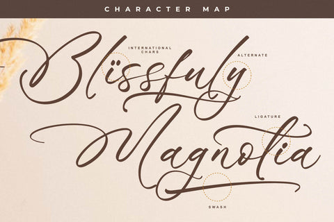 Blissfuly Magnotia - Modern Elegant Script Font Letterena Studios 