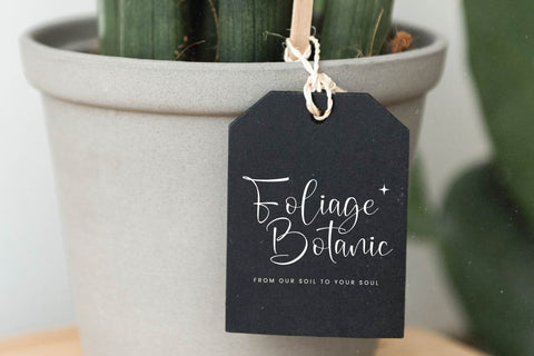 Bloming Fantasy - Freestyle Stylish Font Font Letterena Studios 