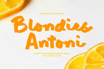 Blondies Antoni - Bold Handbrushed Font Font Timur type 