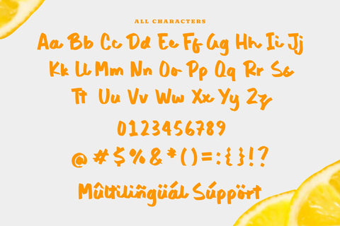 Blondies Antoni - Bold Handbrushed Font Font Timur type 