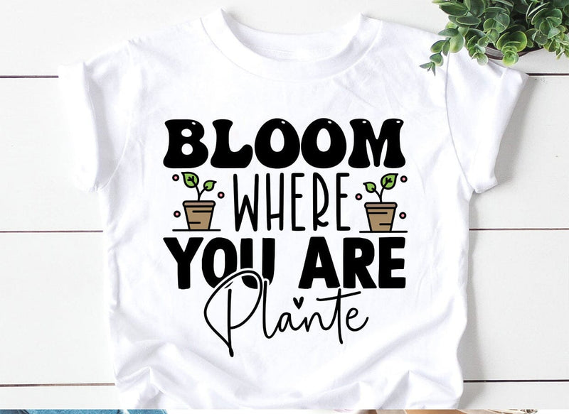 Bloom Where You Are Plant SVG SVG CraftingStudio 