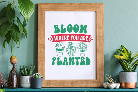 Bloom where you are planted SVG Design SVG Designangry 
