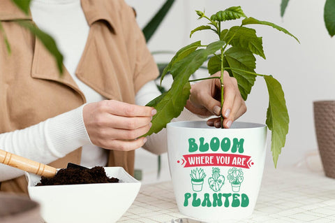Bloom where you are planted SVG Design SVG Designangry 