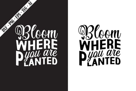 Bloom Where You Are Planted Svg, Motivation Svg Designs SVG shah alam 
