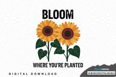 Bloom where you're planted sunflower sublimation png design Sublimation Regulrcrative 