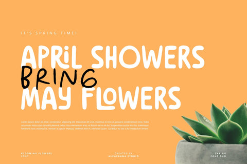 Blooming Flowers - Font Duo Font Alpaprana Studio 