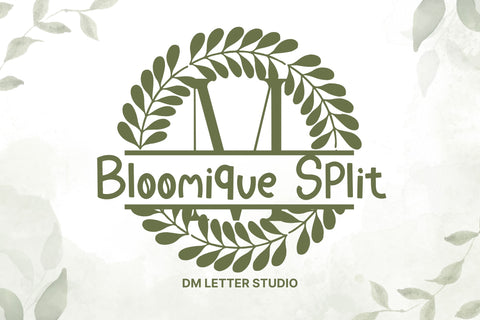 Bloomique Split Font Dm Letter Studio 