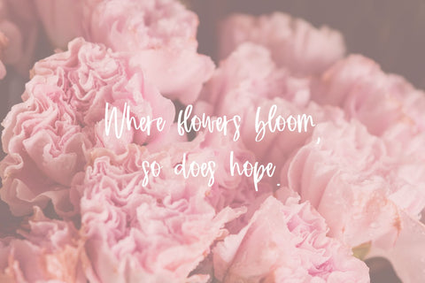 Bloomish Script Font Beck McCormick 