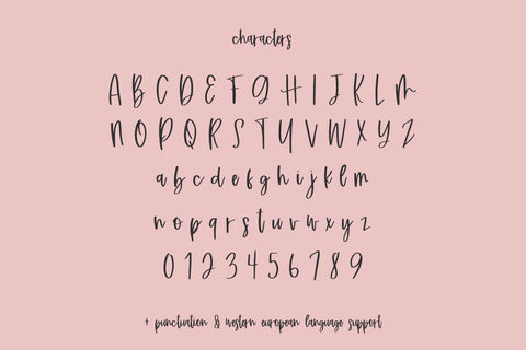 Bloomish Script Font Beck McCormick 