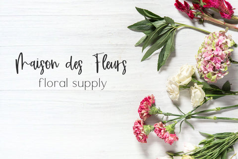 Bloomish Script Font Beck McCormick 