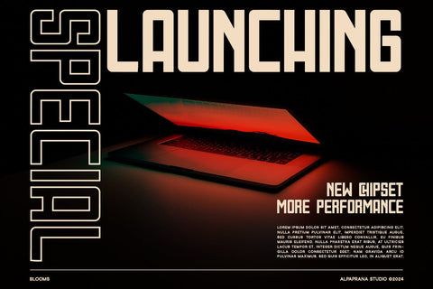 Blooms - Display Font Font Alpaprana Studio 