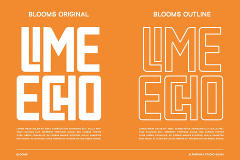 Blooms - Display Font Font Alpaprana Studio 