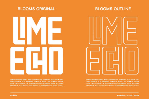 Blooms - Display Font Font Alpaprana Studio 