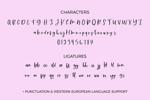 Blossom Breeze Script Font Beck McCormick 