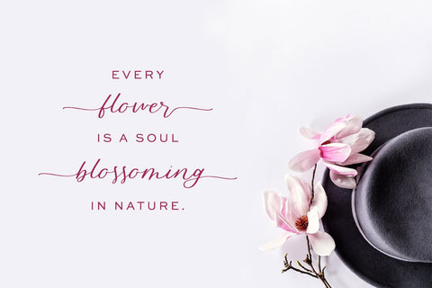 Blossomberry Script Font with Swashes Font Beck McCormick 