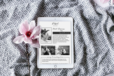 Blossomberry Script Font with Swashes Font Beck McCormick 