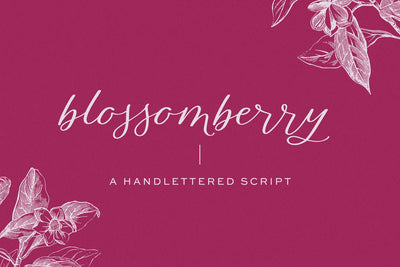 Blossomberry Script Font with Swashes Font Beck McCormick 