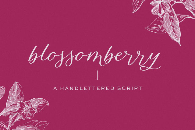 Blossomberry Script Font with Swashes Font Beck McCormick 