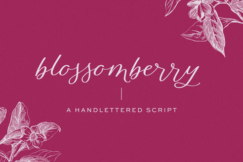 Blossomberry Script Font with Swashes Font Beck McCormick 