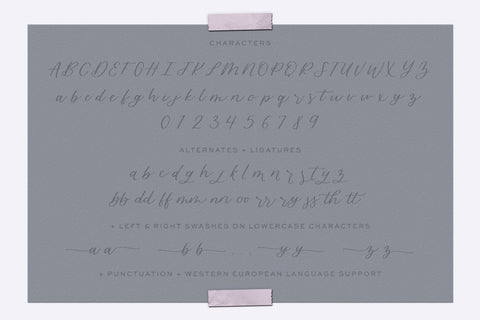 Blossomberry Script Font with Swashes Font Beck McCormick 