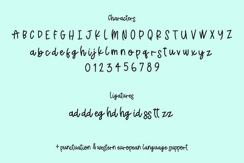 Blossomly Script Font Beck McCormick 