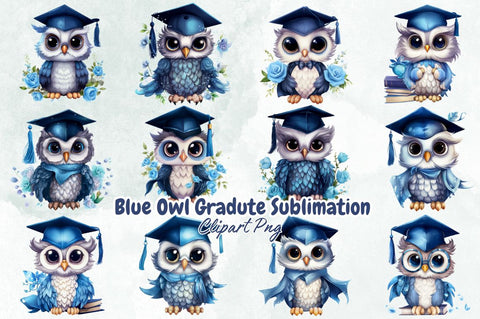 Blue Owl Graduate Sublimation Clipart Bundle Sublimation Designangry 
