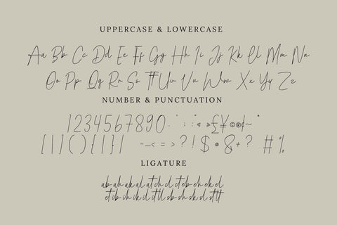 Blueberry Font LetterdayStudio 