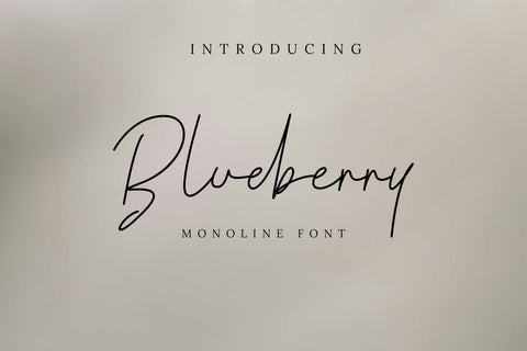 Blueberry Font LetterdayStudio 