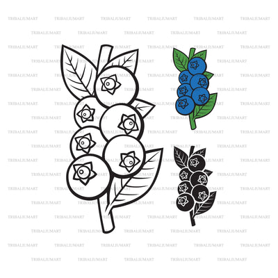 Blueberry Illustration SVG TribaliumArtSF 