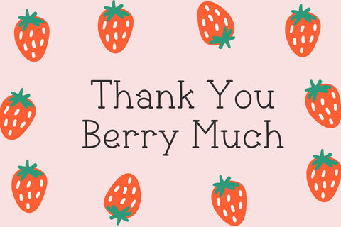 Bluebird Font Cotton White Studio 