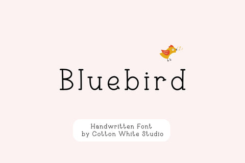 Bluebird Font Cotton White Studio 