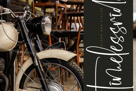 Bluestone Nostalgia - Modern Signature Script Font Letterena Studios 