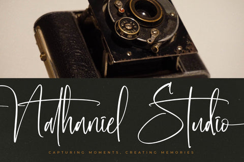 Bluestone Nostalgia - Modern Signature Script Font Letterena Studios 