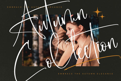 Bluestone Nostalgia - Modern Signature Script Font Letterena Studios 