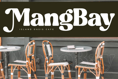 Blugide - Retro Serif Font Font Letterena Studios 