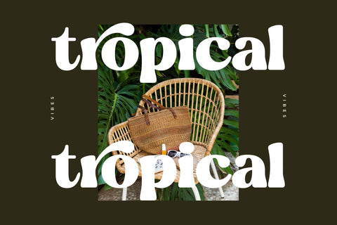 Blugide - Retro Serif Font Font Letterena Studios 