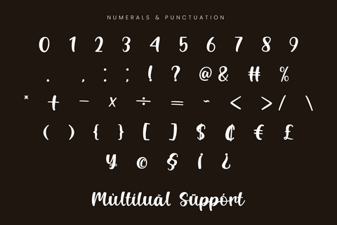 Blusbow – Handwritten Script Font Font Irvan Randi 