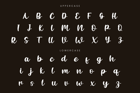 Blusbow – Handwritten Script Font Font Irvan Randi 