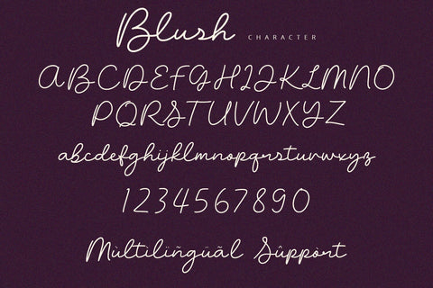 Blush - Script Font Font Alpaprana Studio 