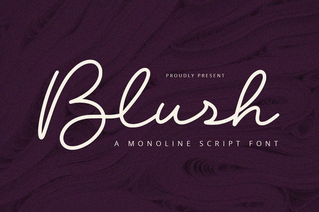 Blush - Script Font Font Alpaprana Studio 