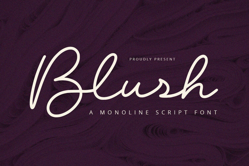 Blush - Script Font Font Alpaprana Studio 