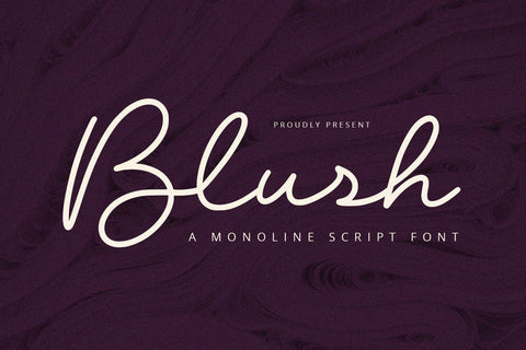 Blush - Script Font Font Alpaprana Studio 