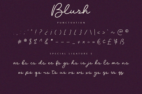 Blush - Script Font Font Alpaprana Studio 