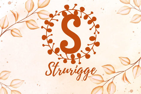 Blynford Monogram Font Font Dm Letter Studio 