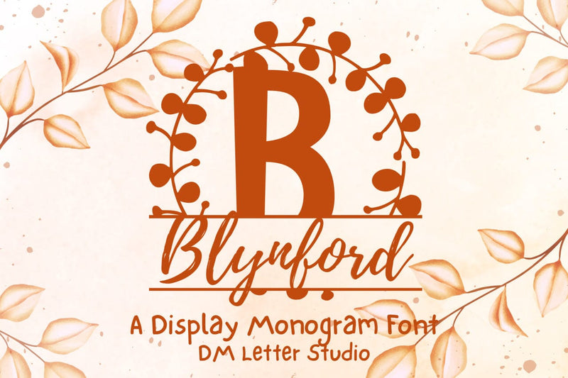 Blynford Split Monogram Font Font Dm Letter Studio 