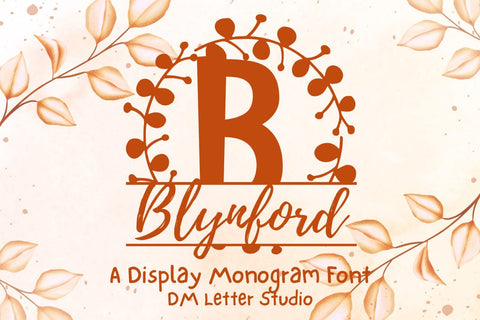 Blynford Split Monogram Font Font Dm Letter Studio 