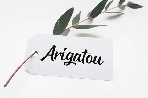 Boarding Quickly Font Studio Natural Ink 