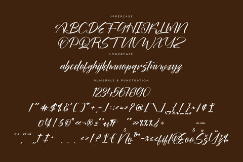Bokeylan Qimghora - Modern Handwritten Freestyle Font Letterena Studios 